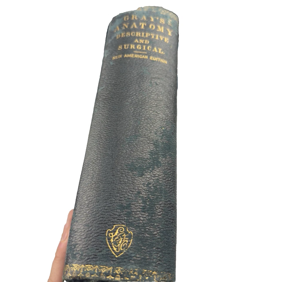Gray's Anatomy Descriptive and Surgical 1897 New American Edition HC RARE - Image 2 of 4