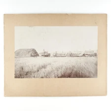 Lucas Kansas Wheat Harvest Photo c1908 Horse Drawn Reaper Farmers 8x10 Farm B410