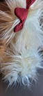 Bild 11 von 12