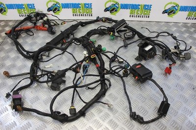 Aprilia RSV4 Factory Wiring Harness Main Loom RSV 4 2009 to 2012 B190