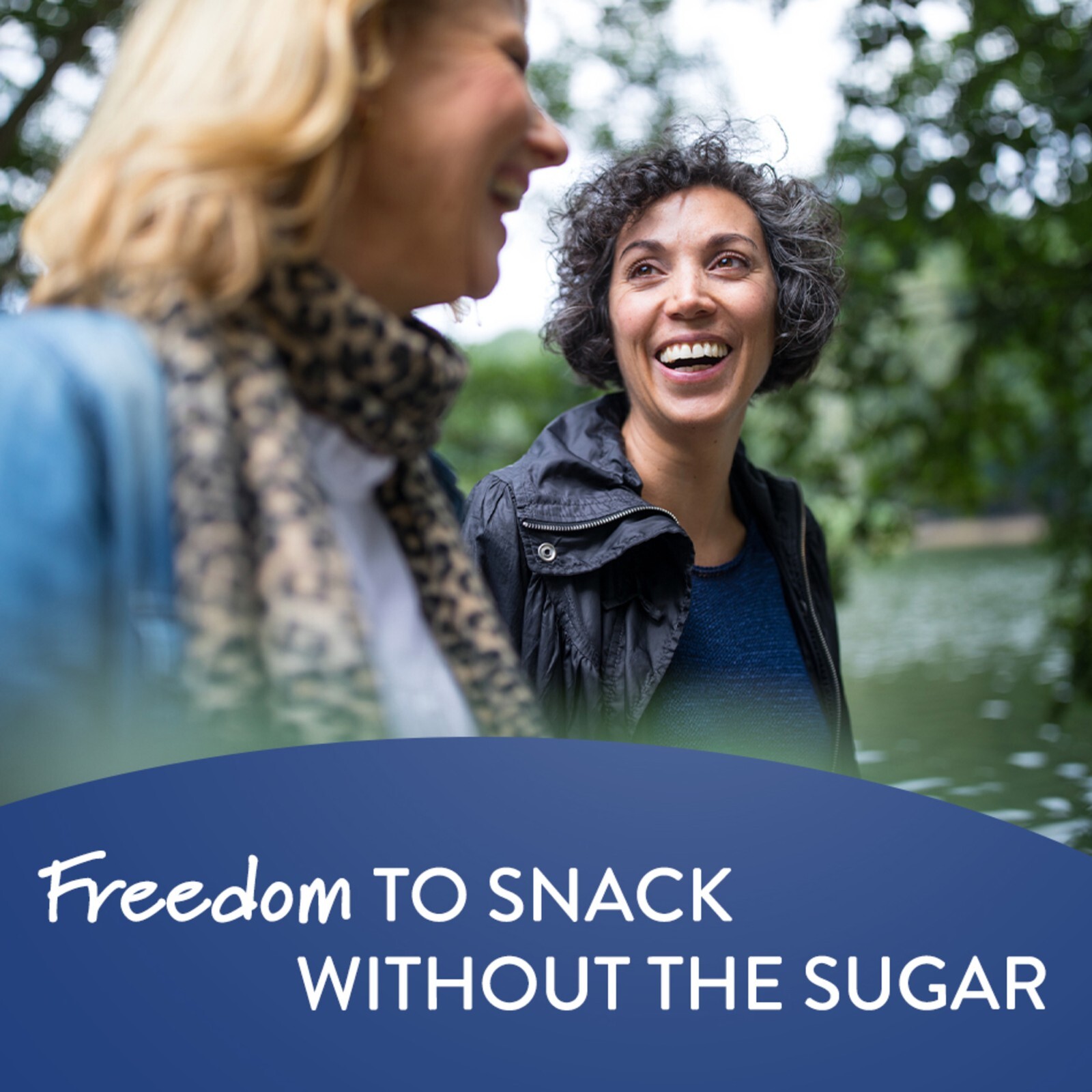 VOORTMAN Bakery Zero Sugar Fudge Brownie Chocolate Chip Cookies 8 oz