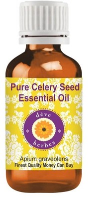 Celery Seed Essential Oil (Apium Graveolens) 100% Pure Natural Aromatherapy Oil
