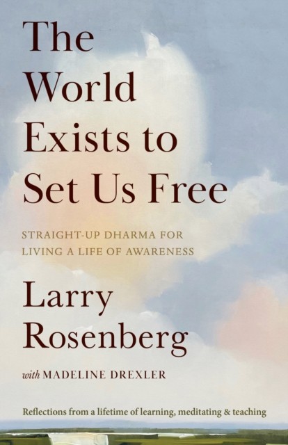 The World Exists to Set Us Free by Larry Rosenberg (Paperback Book)