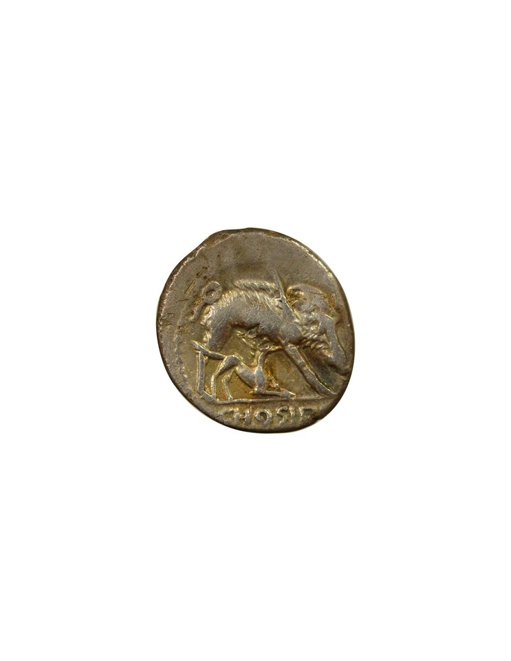 République Romaine Gens Hosidia, Caius - Denier Argent, Sanglier de Calydon - 68 - Photo 3/3