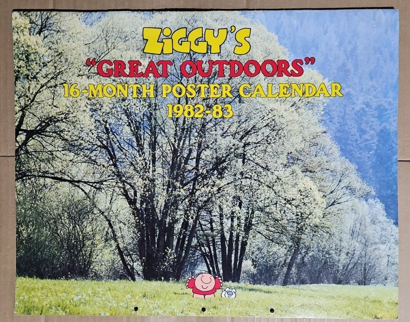 Ziggy’s “Great Outdoors” 16-Month Poster Calendar 1982-83 Very Large USED