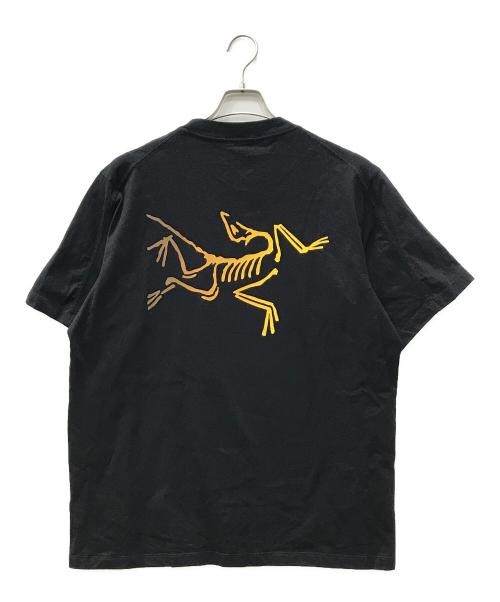 M Arc'Teryx Kragg Cotone Logo Ss