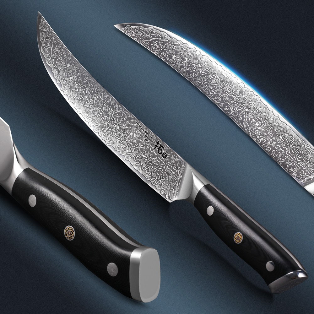 Cuchillo de carne japonés de 25,5 cm VG10 Damasco acero cuchillo de cocina mango G10