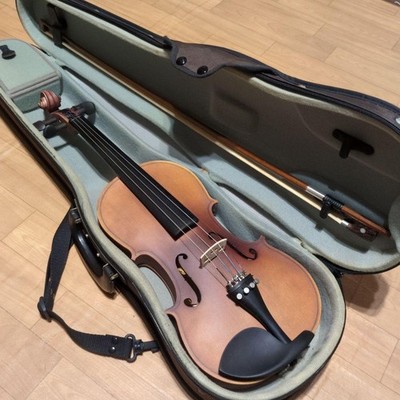 GEWA case.Hallstatt violin body