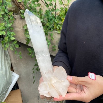 2lb Natural Clear white quartz crystal cluster specimen healing