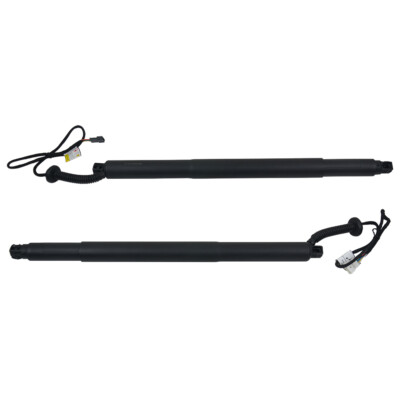 2* 7318651 7318652 Boot Cargo Area Gas Spring Strut Tailgate for 