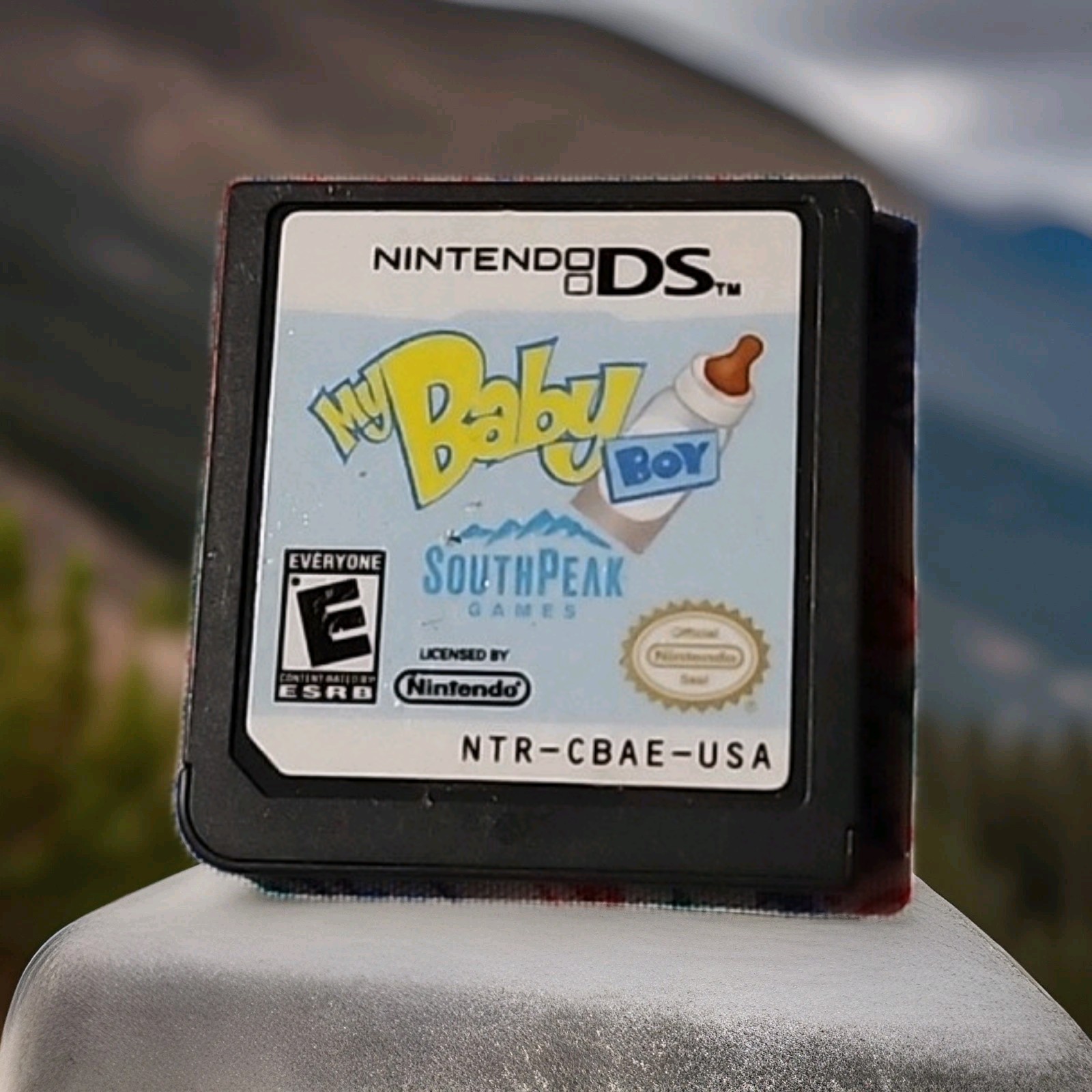 My Baby Boy (Nintendo DS, 2008)