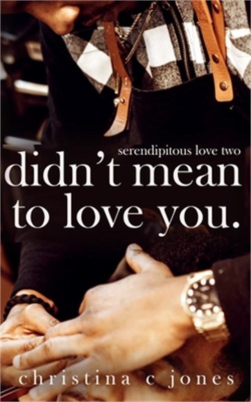 Didn't Mean To Love You (Paperback or Softback)