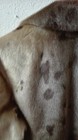 Bild 5 von 6