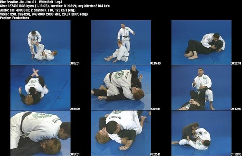 Brazilian Jiu Jitsu and Advanced BJJ starring Joe Moreira (23 DVD Set) - Imagen 8 de 12