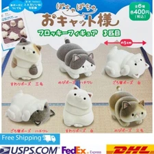 Pocha Pocha Cat Flocky Figure 3rd All 6 Types Comp Set Gacha Gashapon JAPAN