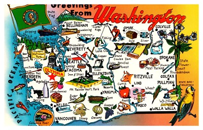 Greetings From Washington Illustrated Map C1950s Postcard AE10