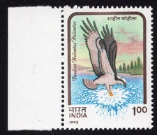 INDIA 1992 Osprey Error Stamp MNH  SG 1525a  Scott 1433  Michel 1375