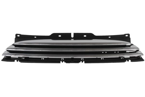 BLIC 6502-07-4001992P Radiator Grille for MINI