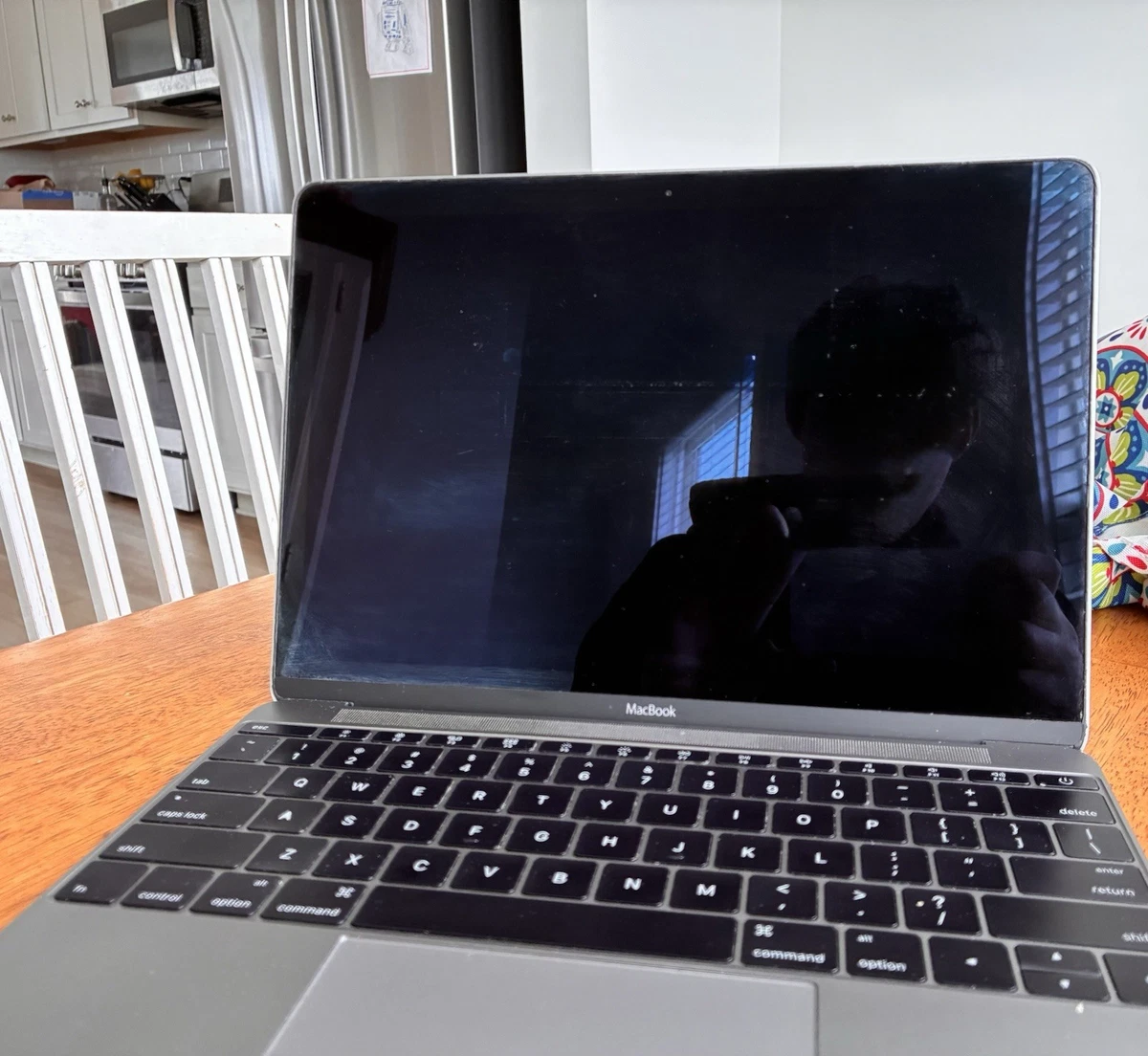 2015 Apple MacBook 12 Inch Laptops for sale | eBay