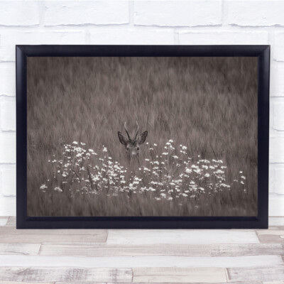 Natur Sepia versteckte Blumen Wildtier Hirsch Hörner neugierig Wandkunstdruck