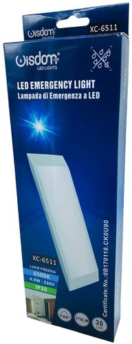 Lampada di Emergenza a led Slim ad Per Incasso Luce Fredda 6500K IP20 4W 270LM - Foto 9 di 9