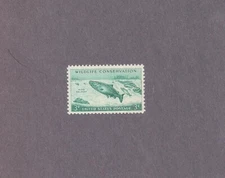 #1079 Wildlife Conservation King Salmon Issue mint NHOG