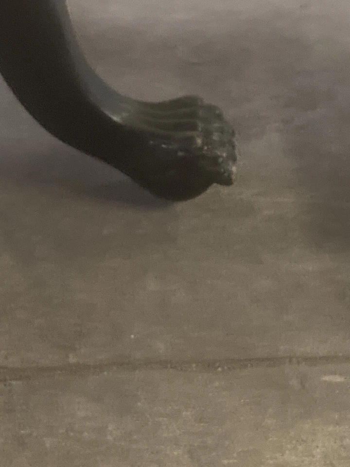 Antigua mesa/mesa de juego del período victoriano de 30,75 x 36 pulgadas *RARA* Foto 4 de 4