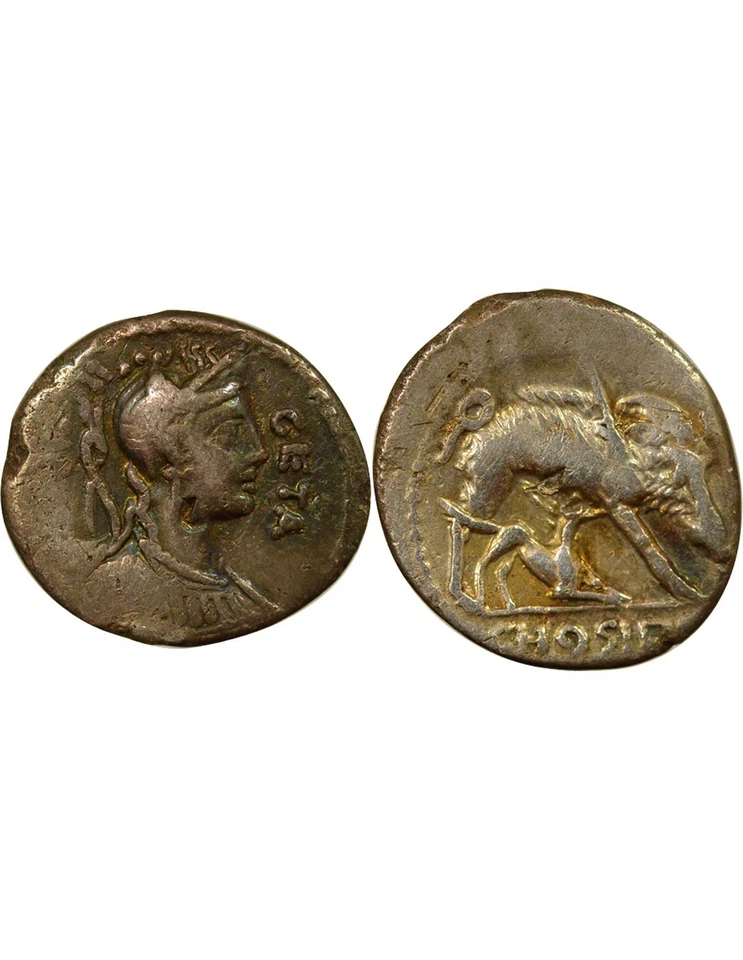 République Romaine Gens Hosidia, Caius - Denier Argent, Sanglier de Calydon - 68 - Photo 1/3