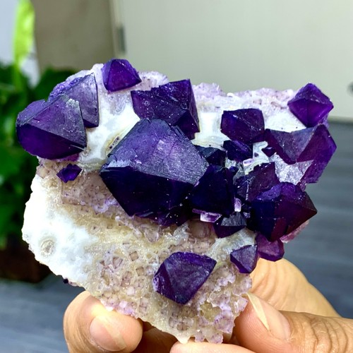 Esemplare minerale cristallo a grappolo di fluorite ottaedrica viola naturale 91G - Foto 15 di 23