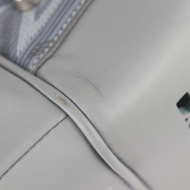 Dior Boston bag  1ESDU035CDP_H42E Hit The Road Pet Carrier Bag CD Diamond Do... image 7