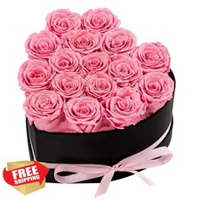 Pink Preserved Roses in Box Eternal Flowers for Her Birthday Valentine