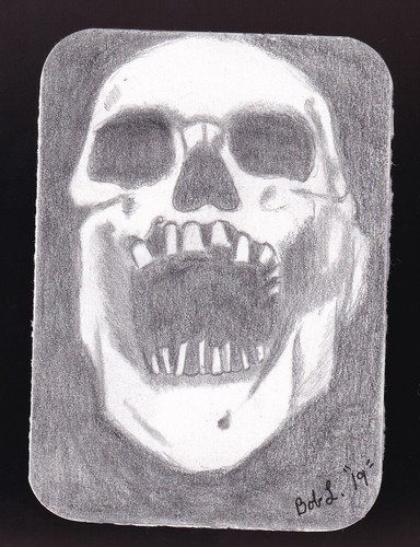 Skull Facing Foward Pencil Sketch Card
