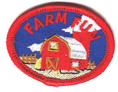 FARM FUN Iron On Patch Farms