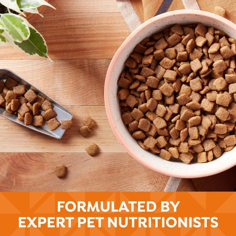 Grain Free Dry Dog Food with Chicken Sweet Potato and Pumpkin Recipe 4 lb Bag
