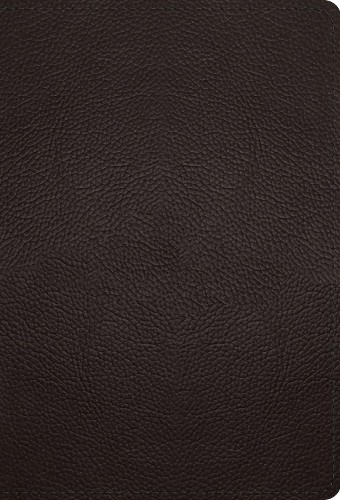 ESV Large Print Compact Bible, Red Letter - 9798874902926
