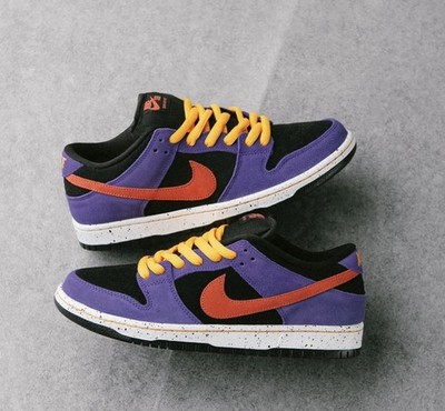 Nike SB Dunk Low ACG TERRA Sz 9.5