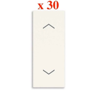 x30 Pieces JUNG FD 902 TSAP WW 2 Seater Plate with Alpine White Symbols
