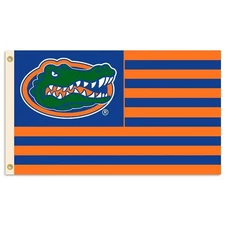 BSI PRODUCTS, INC. - Florida Gators 3’x5’ Flag with Heavy-Duty Brass Grommets...