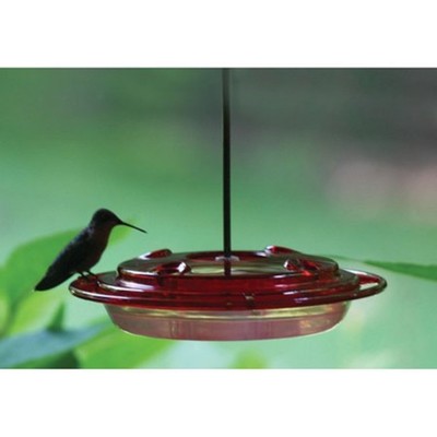 8 Oz Hummingbird Feeder W Hanger Port Brush And Ant Moat