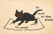 Postcard C-1910 Black Cat Arts Crafts stuck flypaper Comic Humor 23-4944