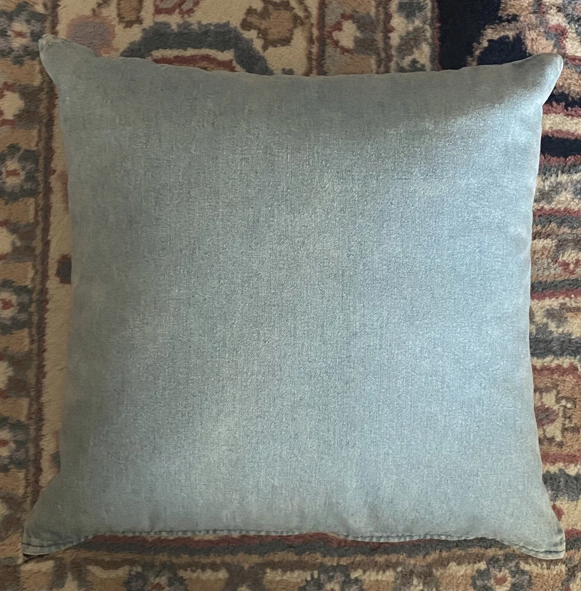Duck egg online blue throw pillows