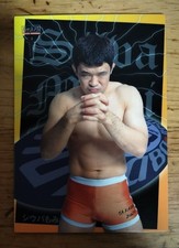 Kazushi Sakuraba Silva Fir 2001