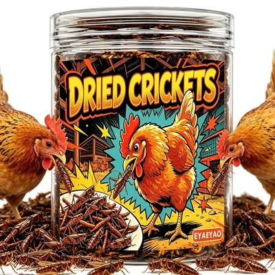 Natural Dried Crickets, Food for Bearded Dragons, Wild Birds, Chicken, Fish, ...