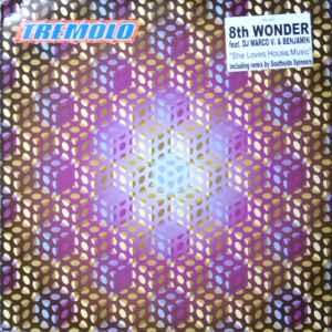 8th Wonder - She Loves House Music - Used Vinyl Record 12 - F4593z