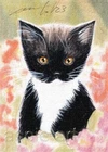 ACEO print limited edition tuxedo kitten black cat flowers by Anna Hoff