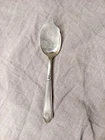 Treasure Sterling Jelly Spoon