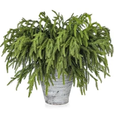 12 Pcs Pine Branches - 18 Inch Artificial Green Pine Stem - Real Touch Christ...