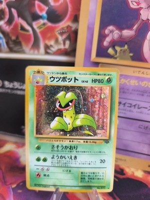 Pokemon Karte Card sarzenia Victreebel Jungle Dschungel Holo Wotc japanese NM-