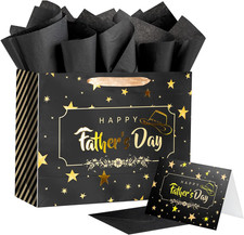 13" Large Father's Day Gift Bag with Tissue Paper, for Dad, Husband, Grandfather