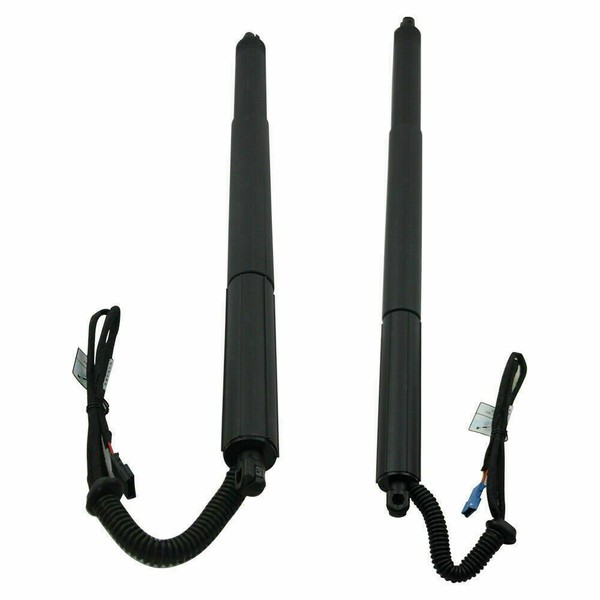 Spindelantrieb/Gasdruckfeder Hinten Links Und Rechts 51247232003 FüR BMW X3 F25-image